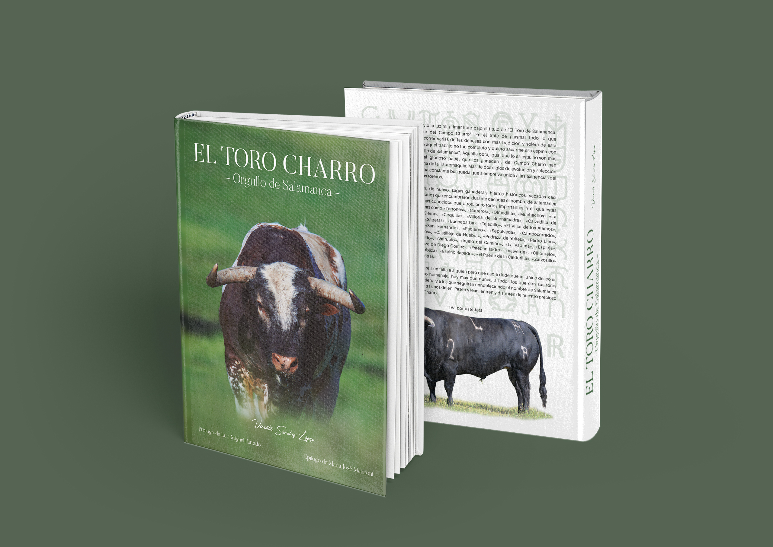 El Toro Charro | Orgullo de Salamanca